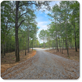 Gravel road curves through lush trees in the M & M Outdoors Campground