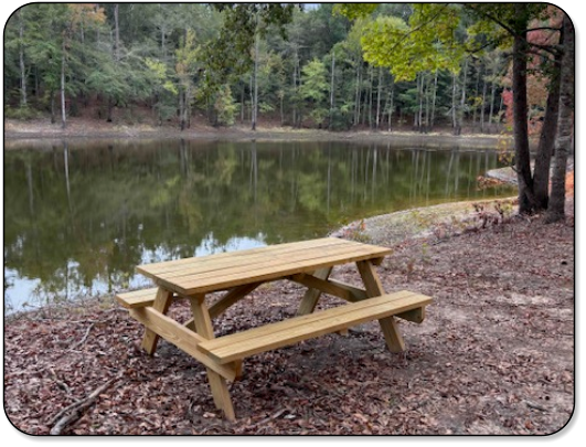 Picninc table near the pond at M & M Outdoors Campground.