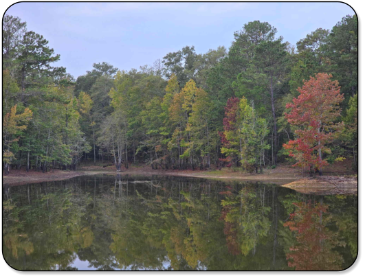 View of the pond at M & M Outdoors Campground.