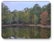 View of the pond at M & M Outdoors Campground.