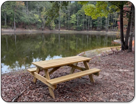 Picninc table near the pond at M & M Outdoors Campground.
